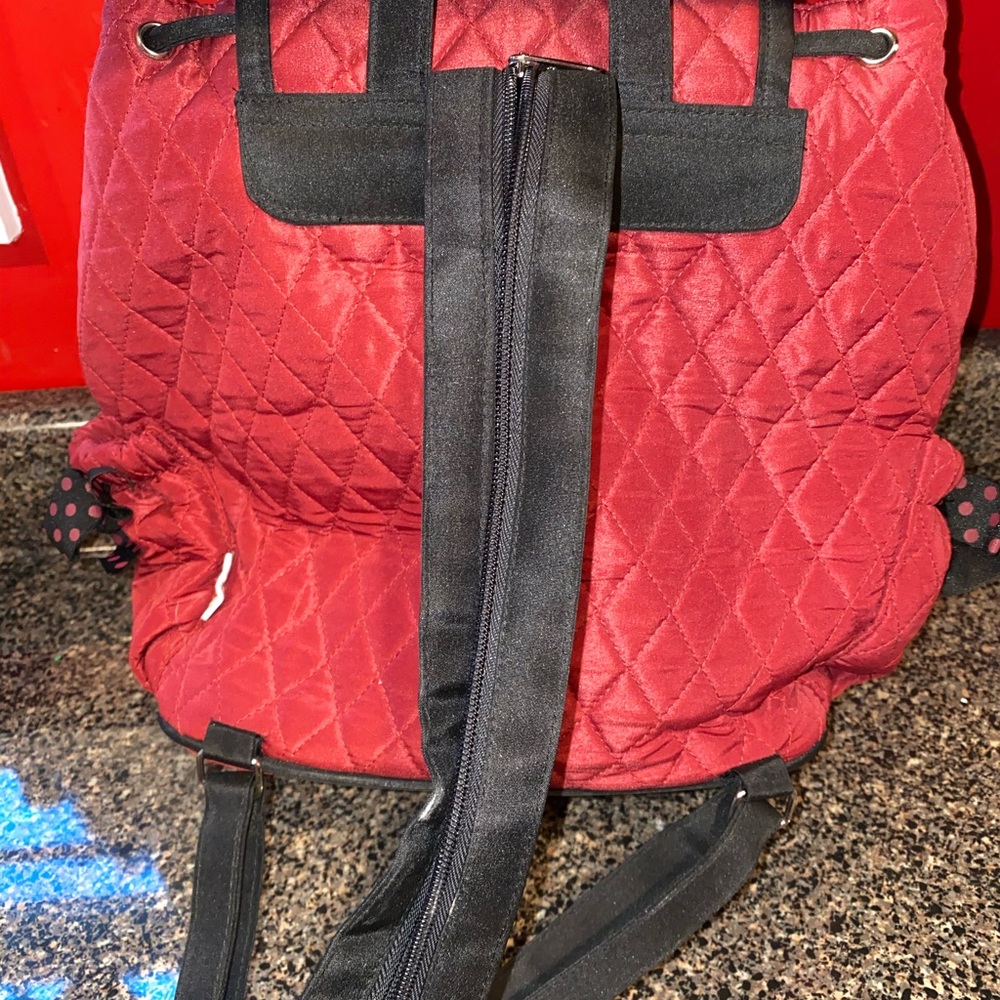 Backpack - Picture 4 of 6